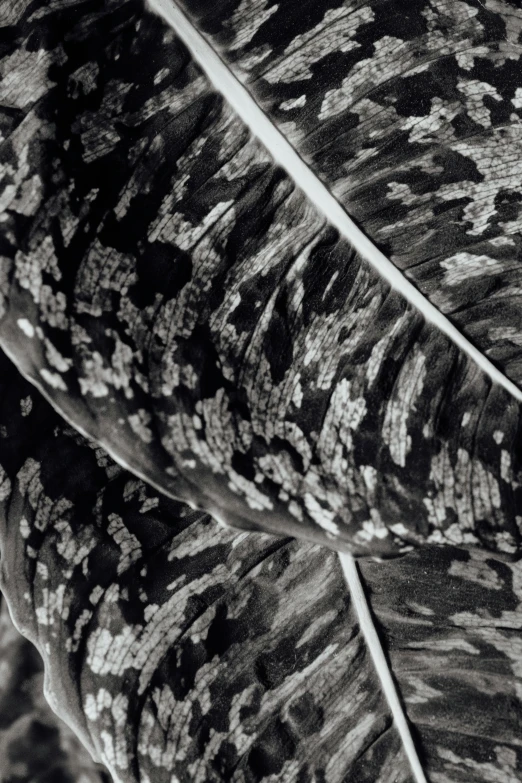 a close up of an abstract patterned umbrella