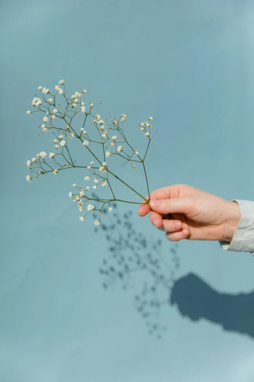 a person holds out some flowers in the air