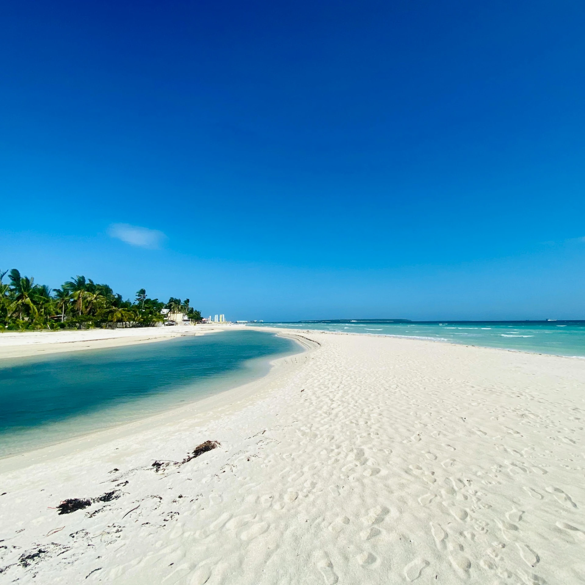 a sandy beach with palm trees, water and sky