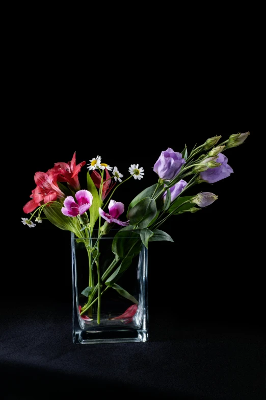 three different colored flowers in a small square vase