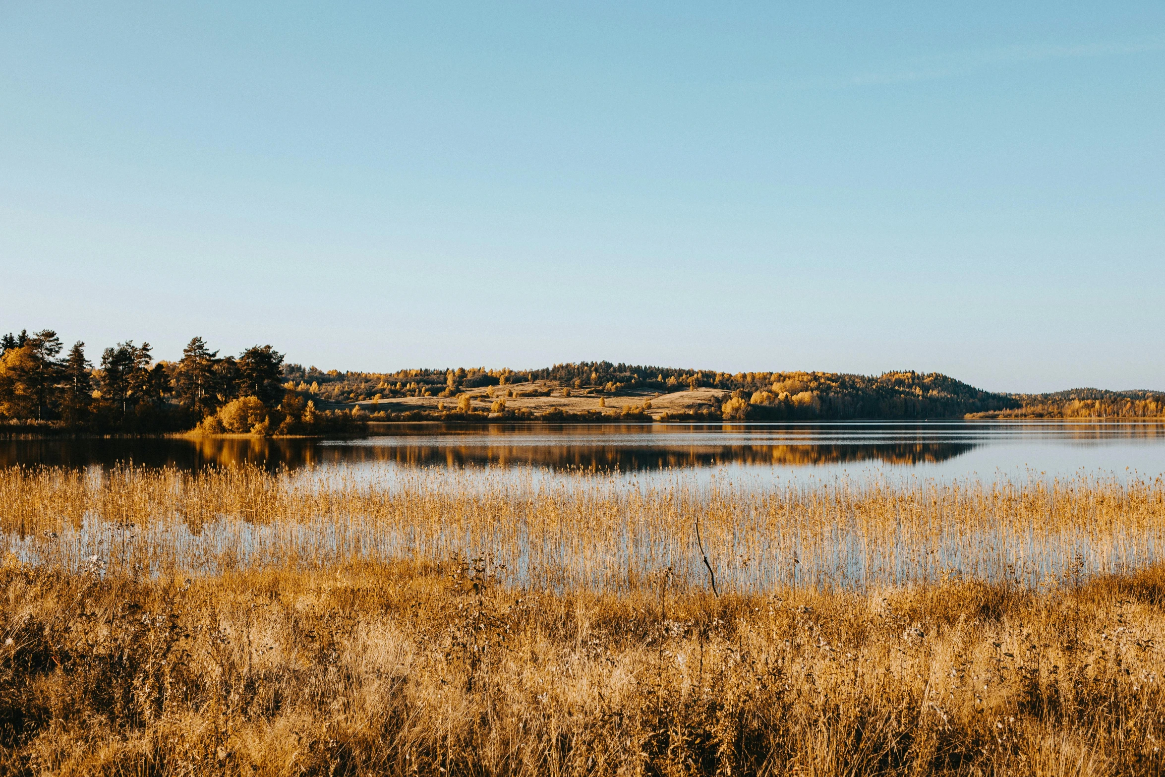 a lake surrounded by brown dry grass