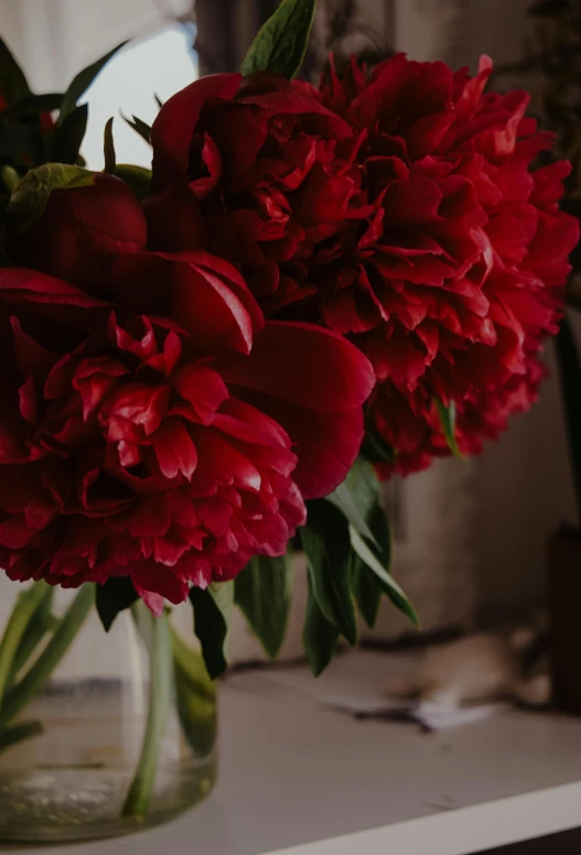 a glass vase that has some red flowers in it