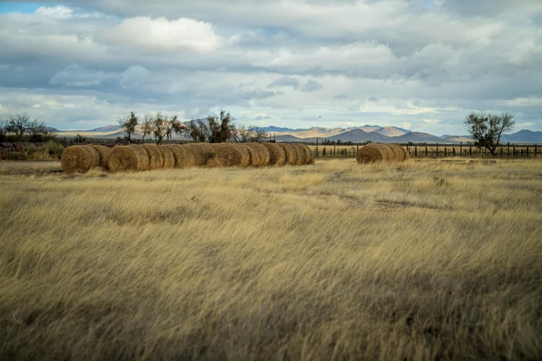 many bales of hay are piled up on the field