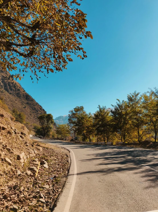 a road is next to a hill covered with autumn leaves