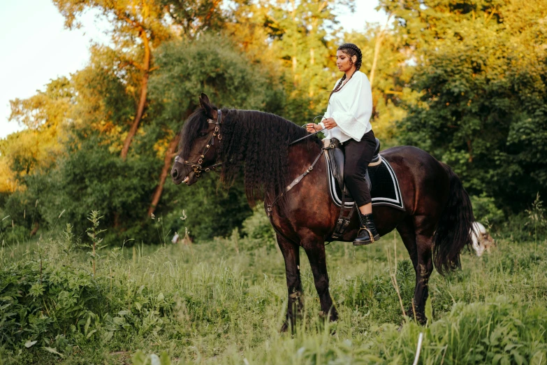 a person on a horse in an open field