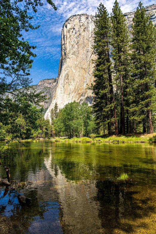 view of a lake in the mountains with trees near by