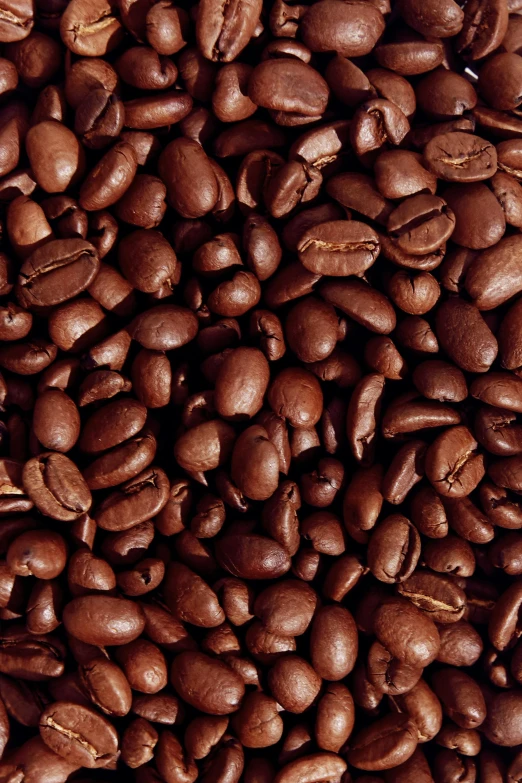 coffee beans are gathered together on a brown background