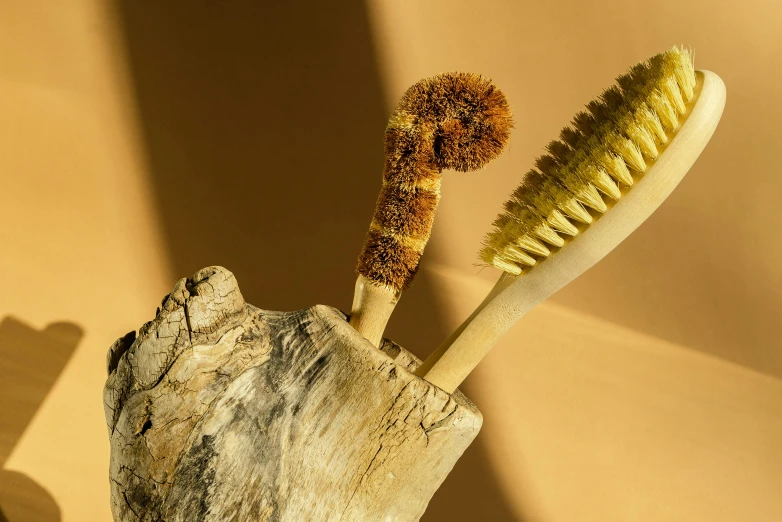 two small bamboo brushes are next to each other