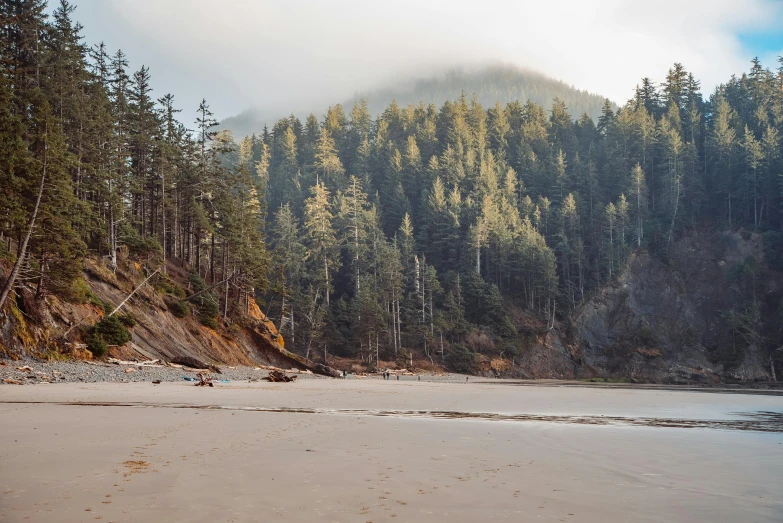 a beach with a mountain in the background