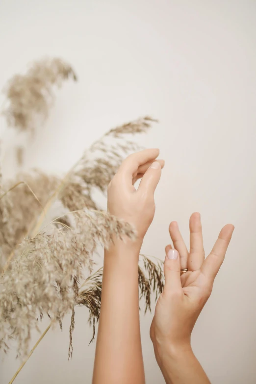 hands reaching up into the air in front of dry plants