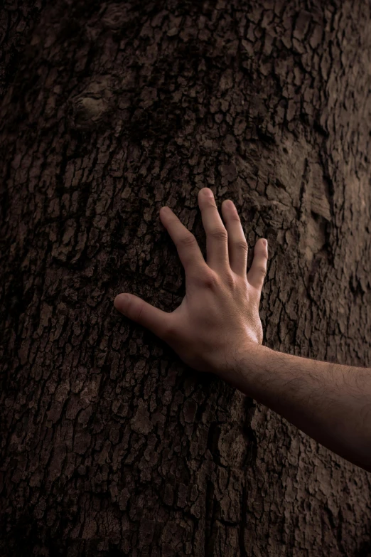 a hand that is reaching towards a tree