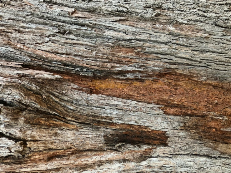 a picture of some kind of textured wood