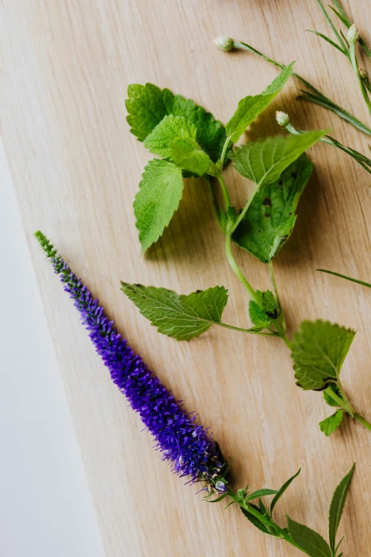 purple flowers and leaves on a wood board