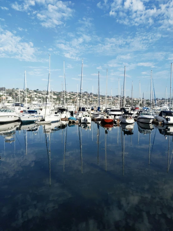 a fleet of boats moored at a dock