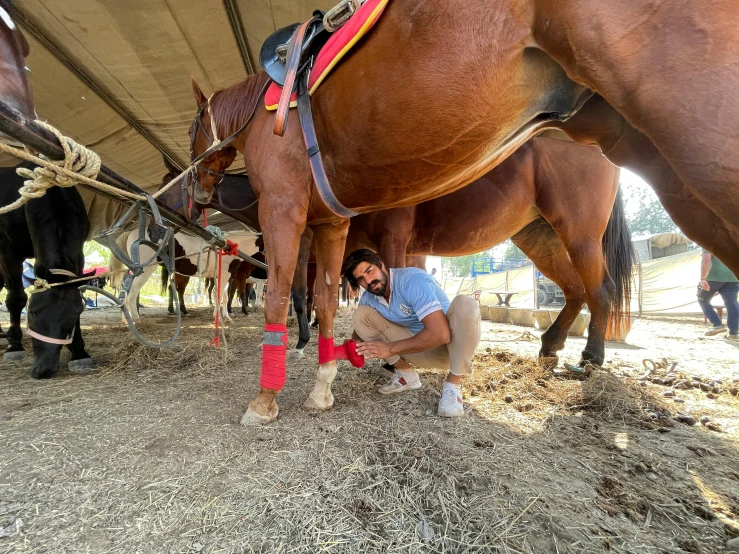 people standing by some horses under a covering