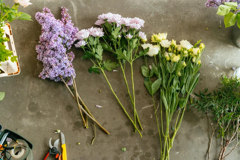 several flowers laid out on top of some cement