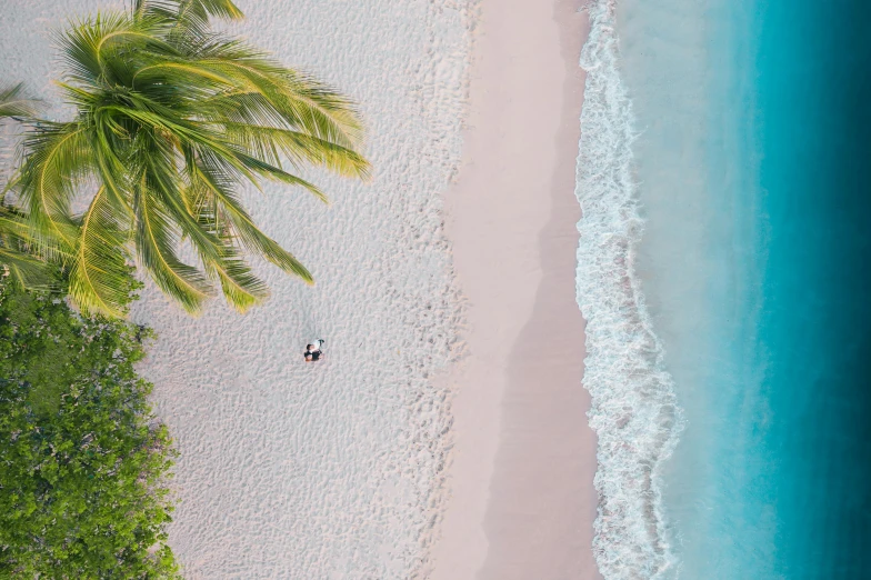 two people sitting on a beach in front of palm trees