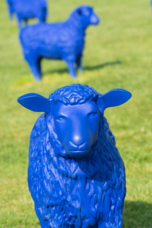 three blue sheep that are standing in the grass