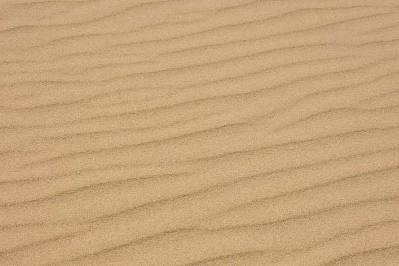 sand dunes textured with small circles, lines and ridges