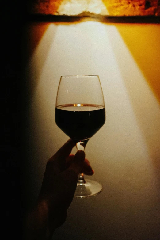 person holding up a wine glass in the middle of an image