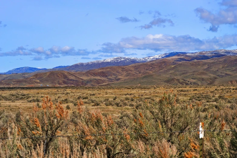 an expansive plain with mountains in the background