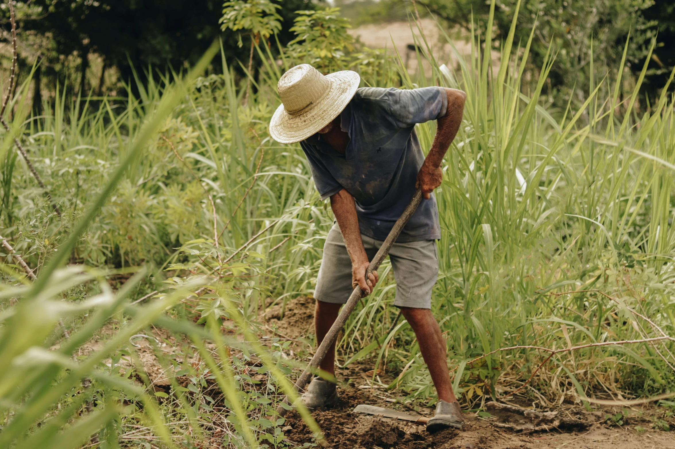 a man using a pitchfork in the grass