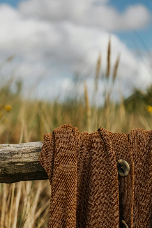 a bird is perched on a rope with some material