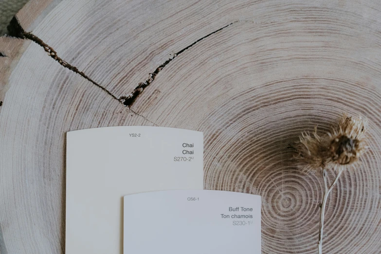 the inside pages of a book with a paper with two lines and the side has a dead plant