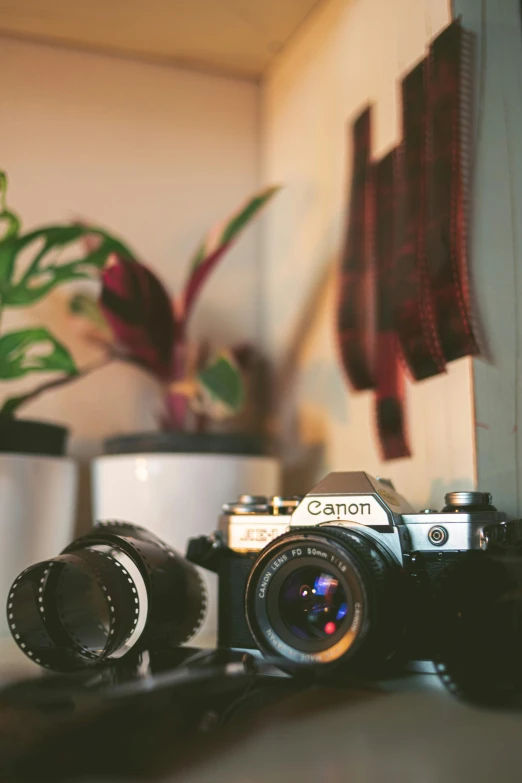 a camera sitting next to potted plants and another object