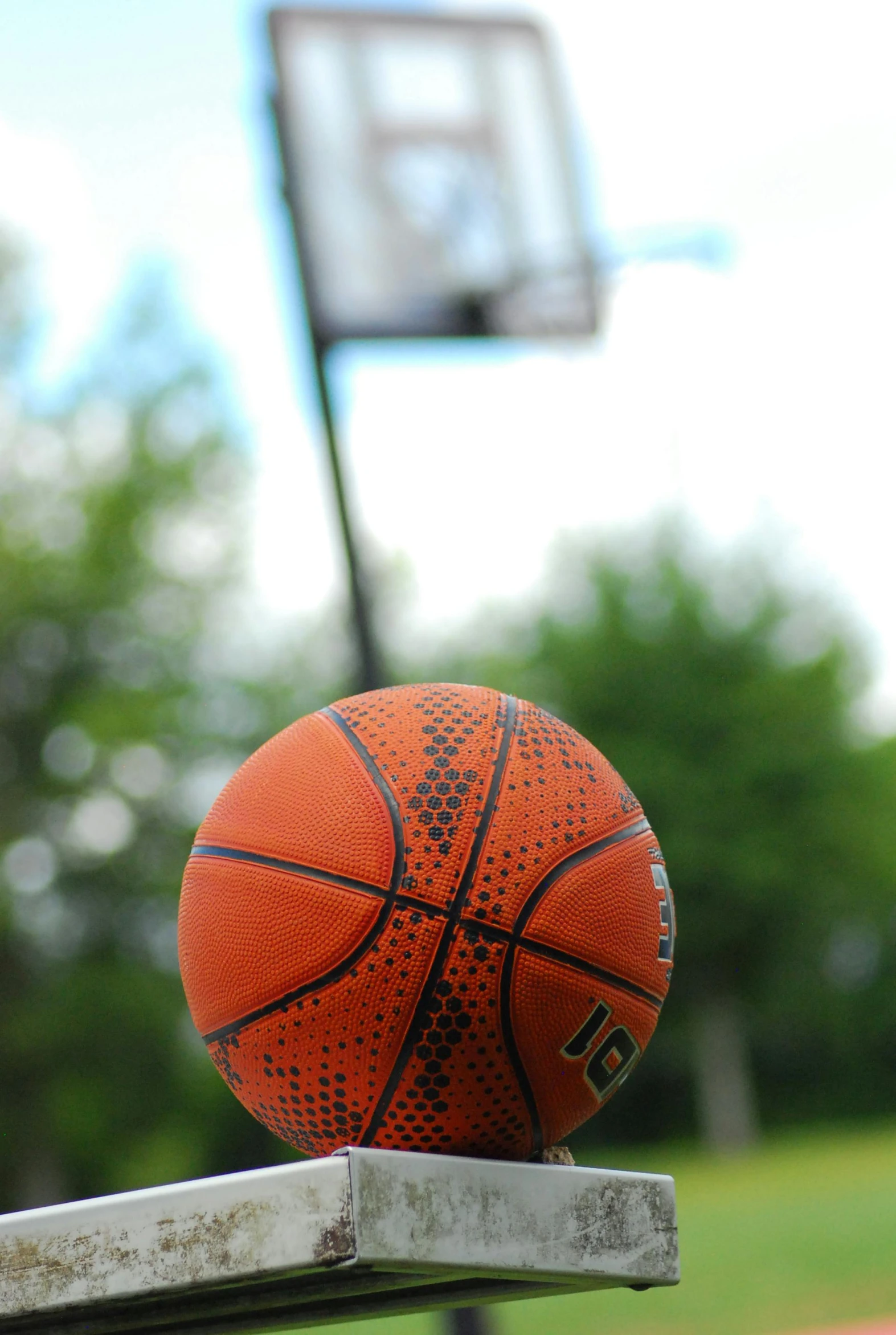 the basketball is sitting on top of the railing