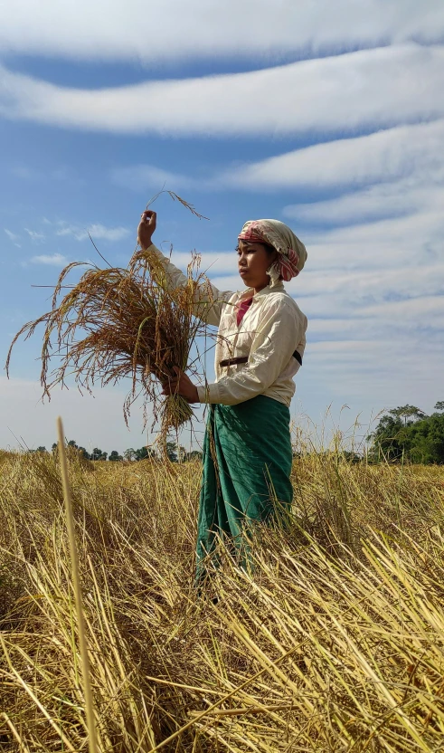 a person in a field of grass