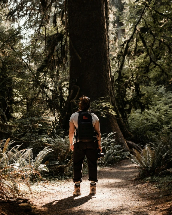 a man with a backpack standing on a dirt road in front of a large tree