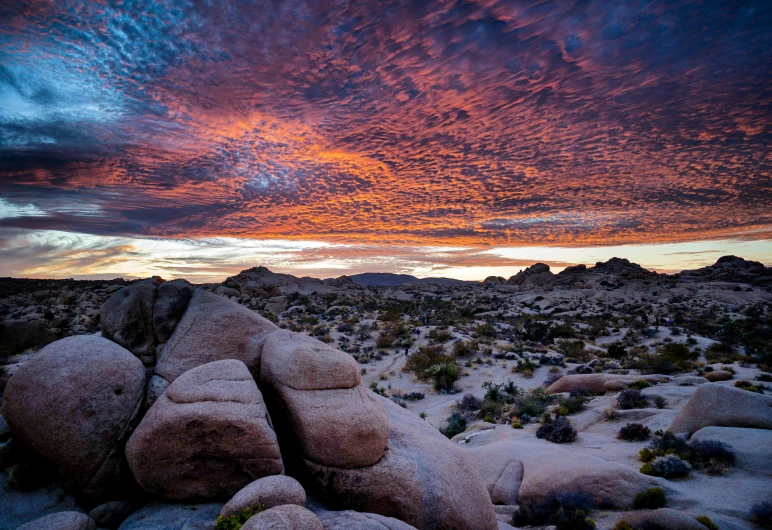 a desert with rocks and grass under cloudy skies