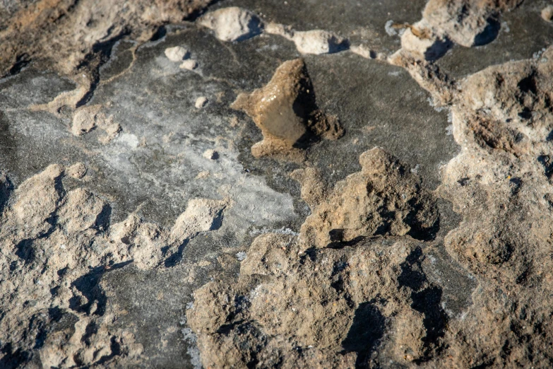 rocks are brown and grey with white stuff on them