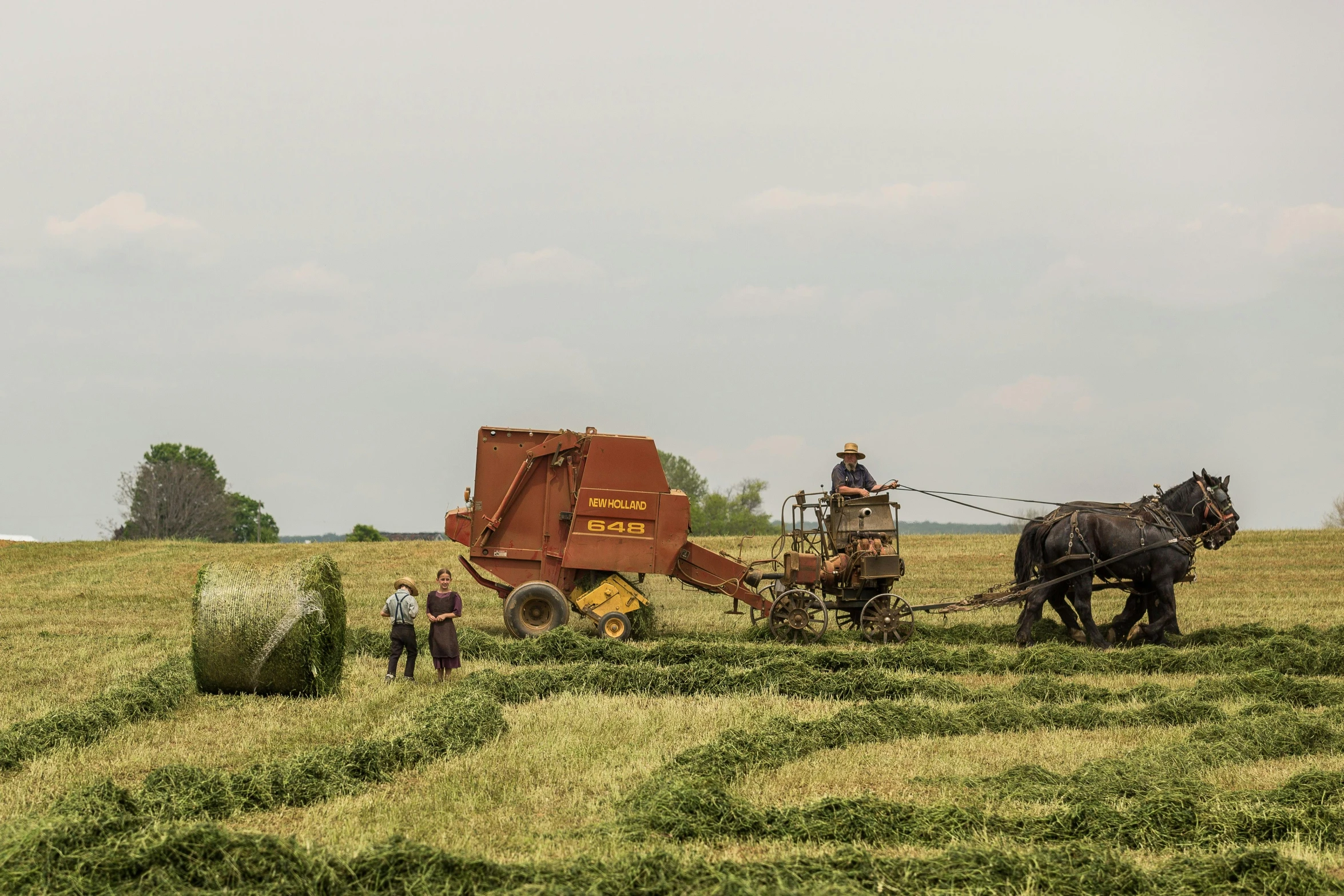 a man driving a wagon with two horses behind it