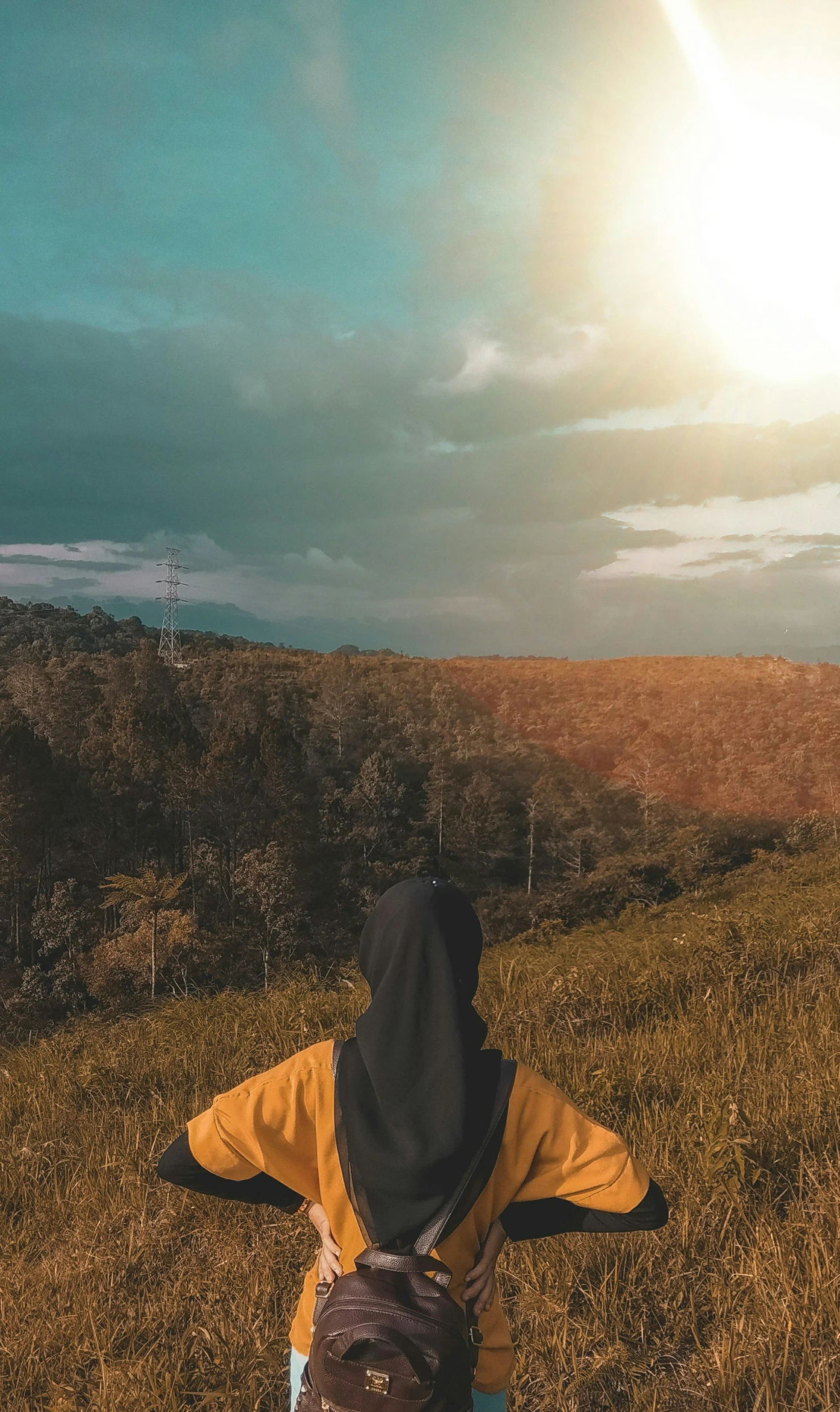 someone on a hill is sitting with their back to the camera