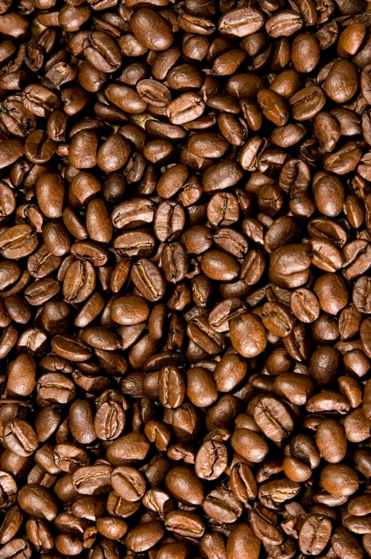 coffee beans are grouped together in a square po