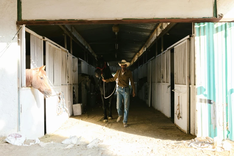 a man and a horse inside of an enclosed area