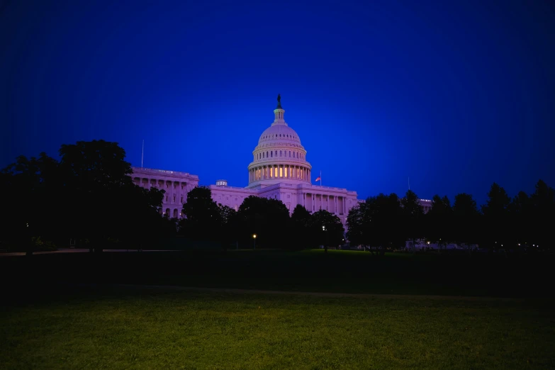 the capitol building illuminated at night and trees