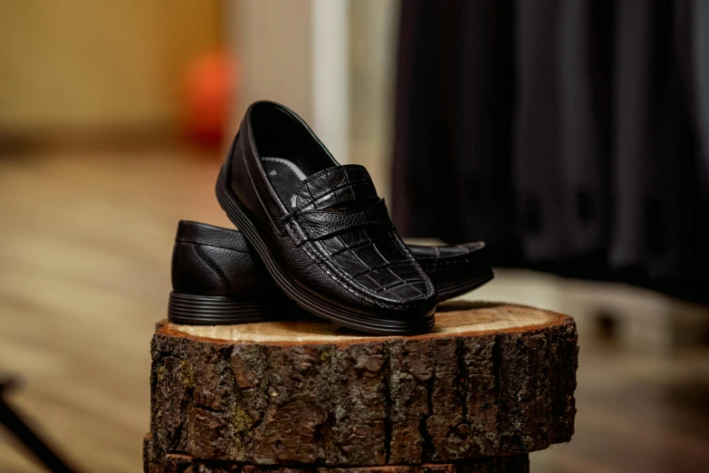 a pair of shoes are laying on a stump