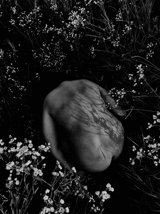 an odd shaped object in a field of wild flowers