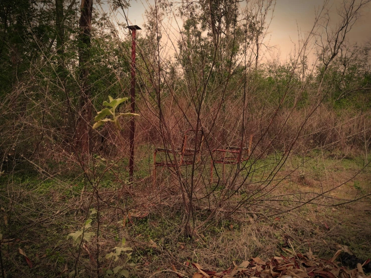 an old rusted fence with vines growing out of it