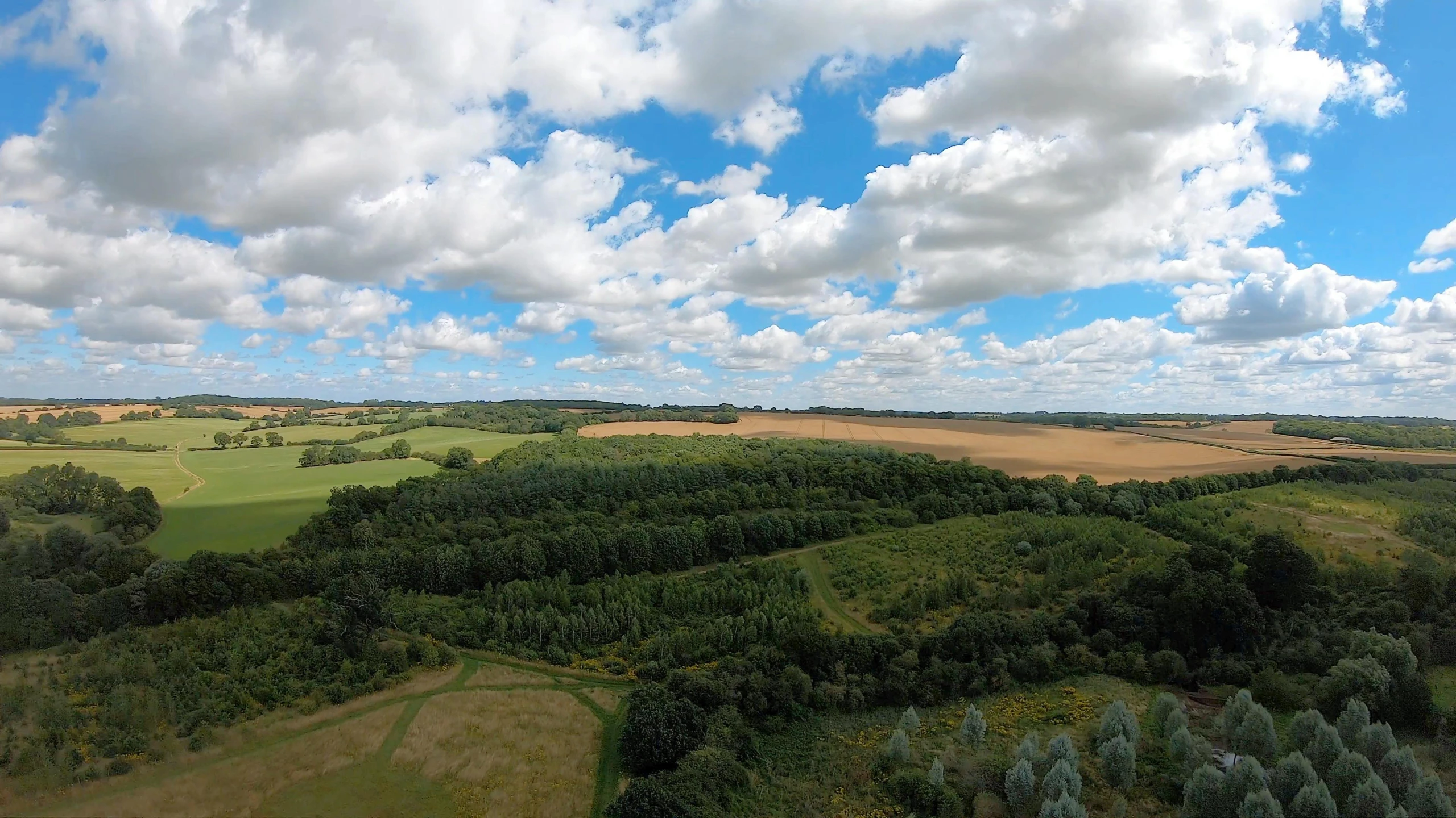 a bird - eye view of a large field, many trees and fields on a sunny day