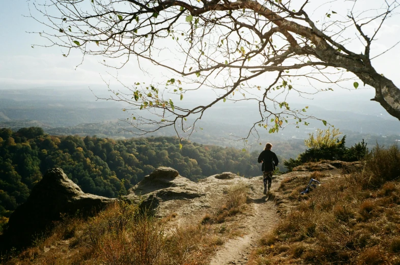 a person walking up a dirt trail near a tree