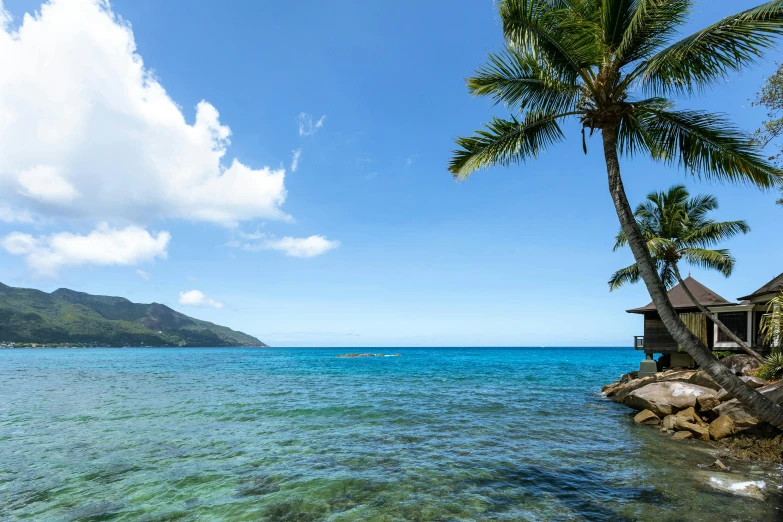 an ocean view with palm trees, a hut and the water