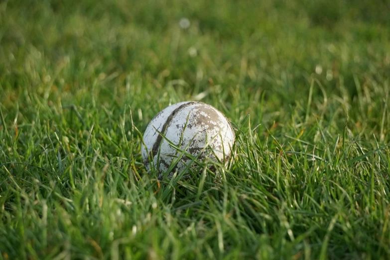 a ball sitting in the grass with grass around it