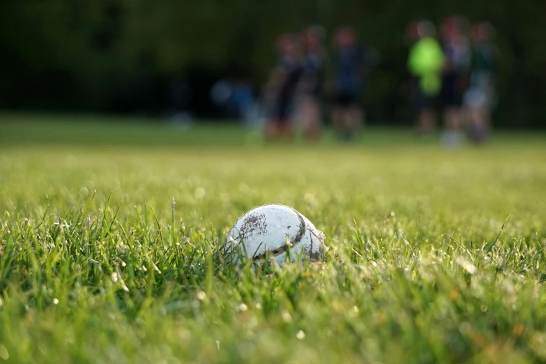 a ball sitting in the middle of grass