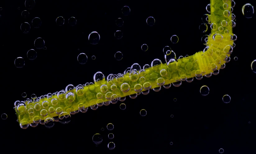 a close up po of bubbles on the stem of a banana