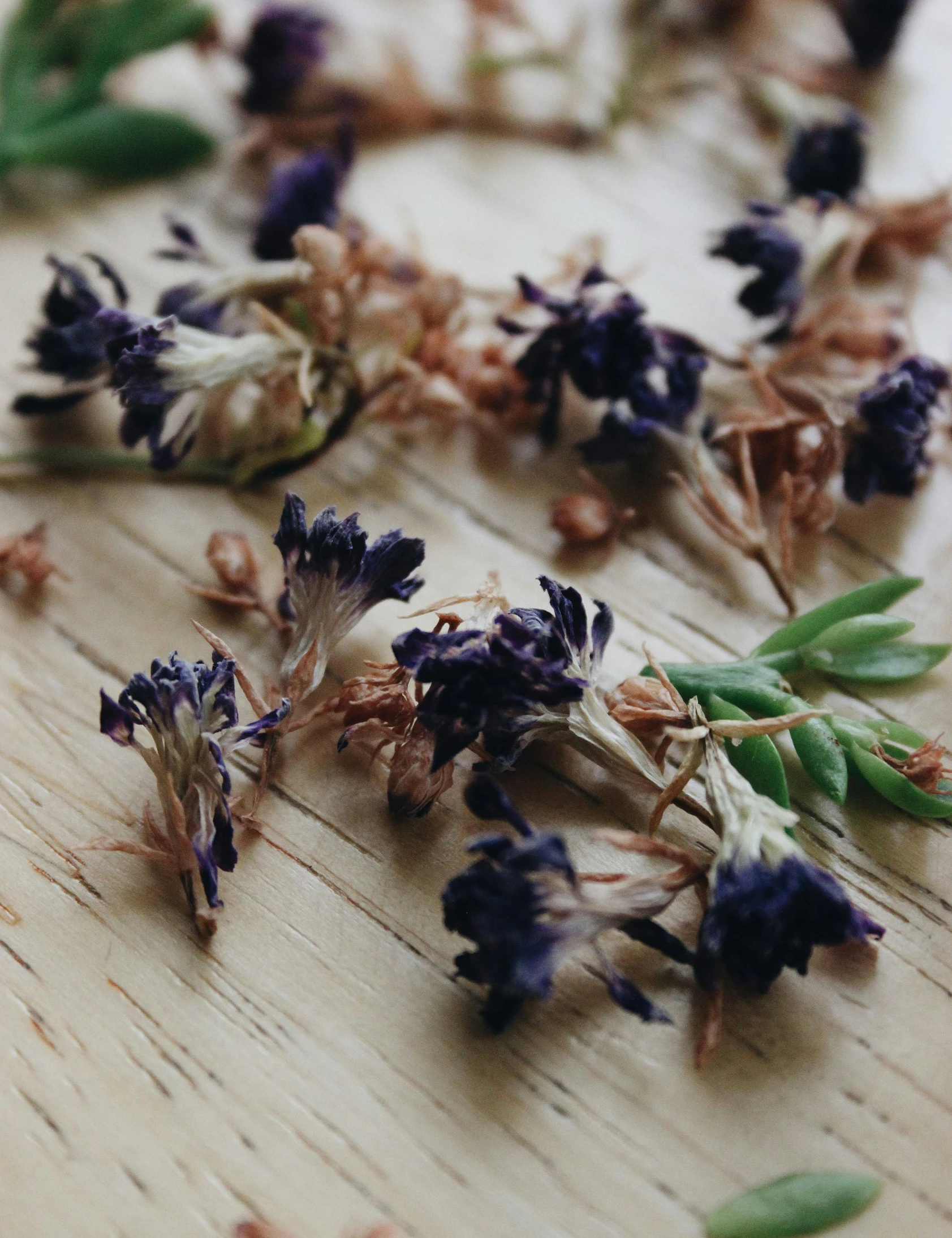 some dry lavender flowers on a table