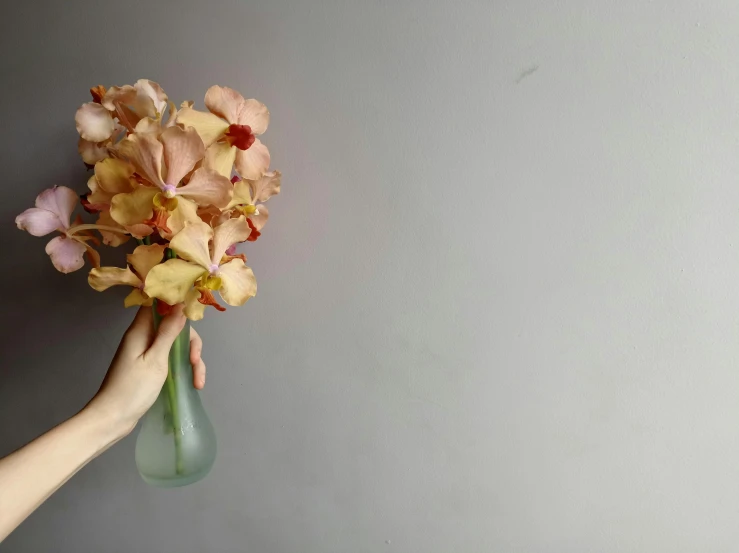 person holding a flower in a vase on the side of a wall